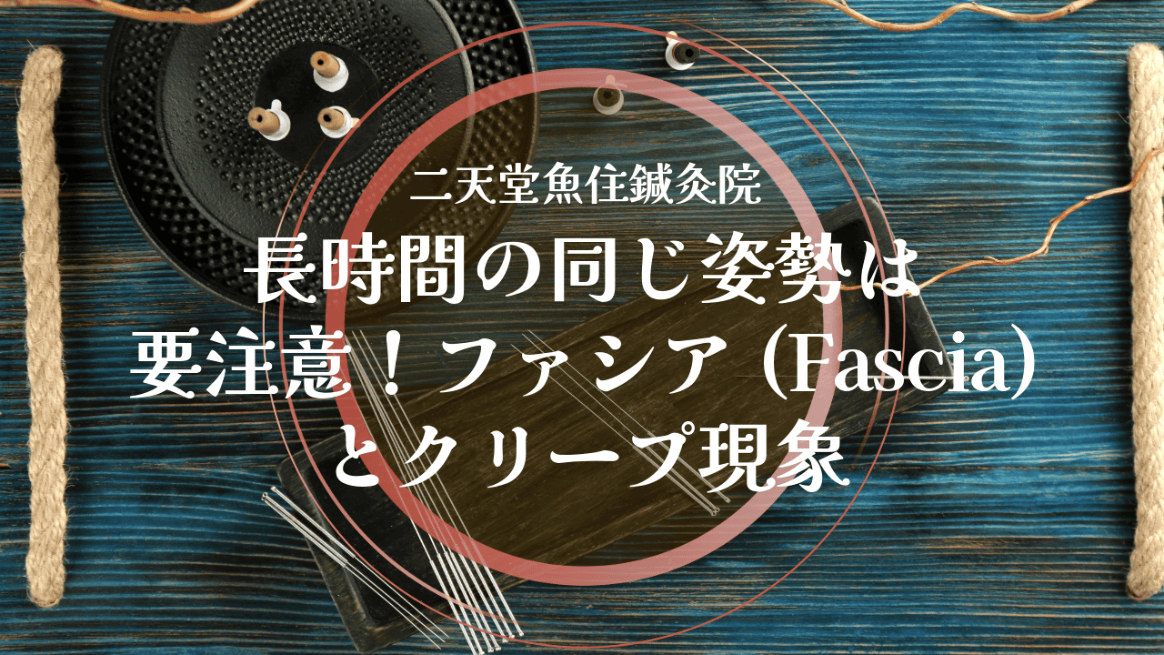 長時間の同じ姿勢は 要注意！ファシア(Fascia)とクリープ現象