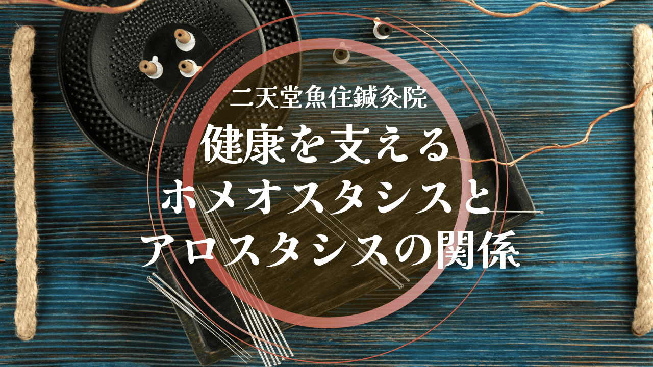 健康を支えるホメオスタシスとアロスタシスの関係