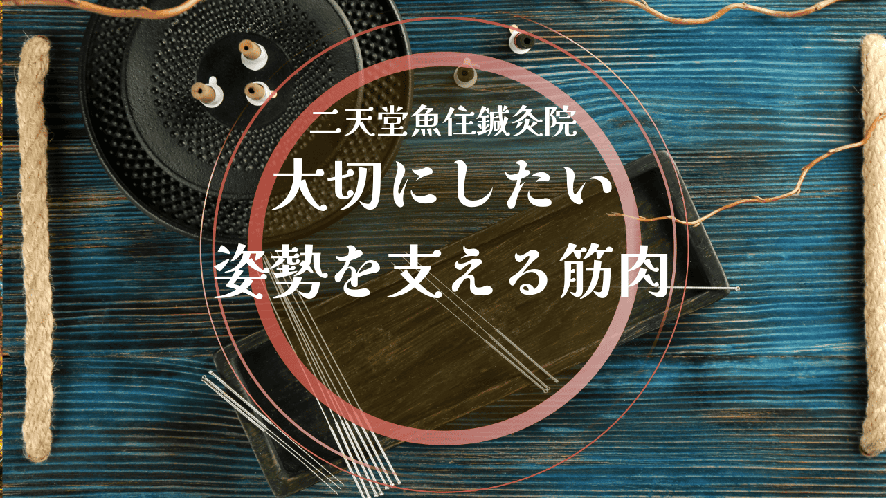 大切にしたい姿勢を支える筋肉の役割