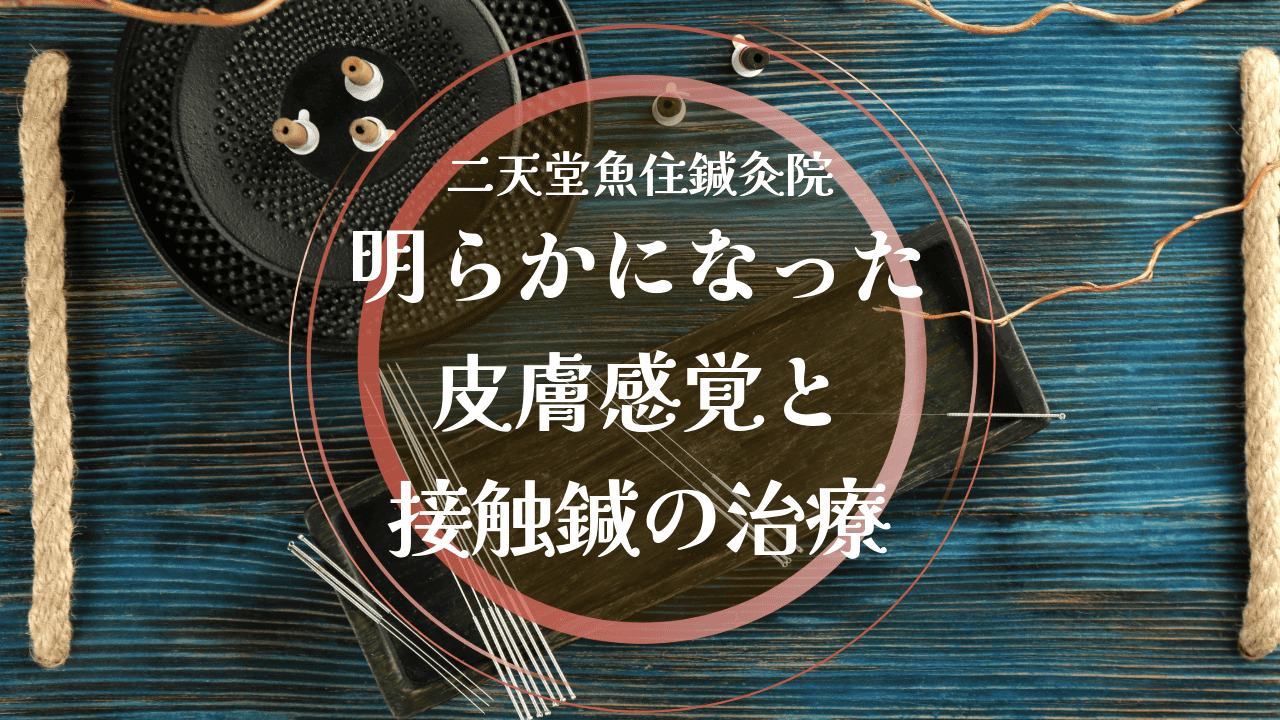 明らかになった皮膚感覚と接触鍼の治療