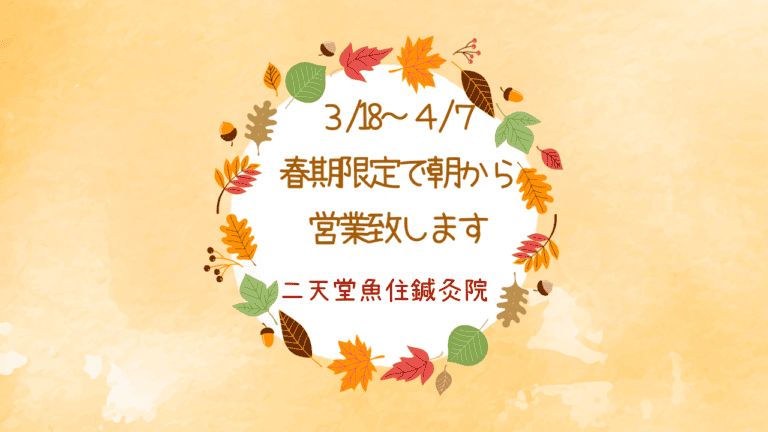 このページは、二天堂魚住鍼灸院の営業スケジュールについて説明しています。平日は、院長である私のWワークの関係で、17時からの営業ということで皆様にはご迷惑をおかけしています。大変申し訳ありません。また、初めての患者さんからの問い合わせに説明を要することも多く、重ねてお詫び申し上げます。さて、いよいよ3月に入りました。18日(水)より4月7日(火)まで、春期限定の朝から営業を実施できる運びとなりました。平日の日中に施術を希望する方は、是非、この時期を利用して当院にお越しください。